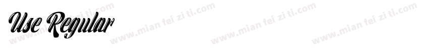 Use Regular字体转换